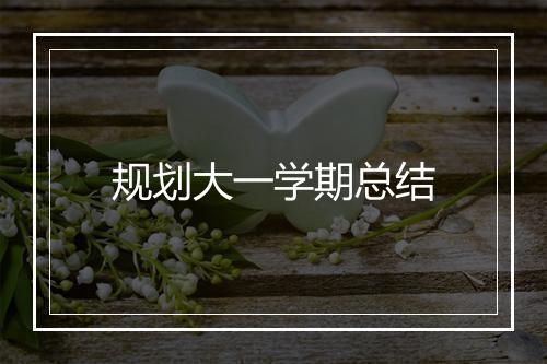 规划大一学期总结