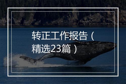 转正工作报告（精选23篇）