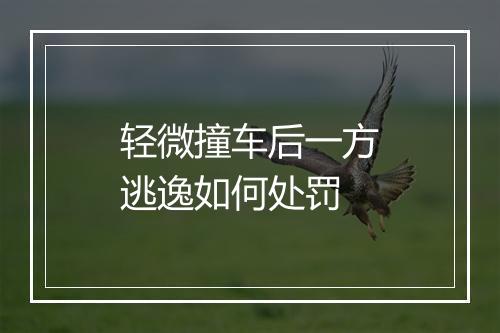 轻微撞车后一方逃逸如何处罚