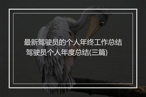 最新驾驶员的个人年终工作总结 驾驶员个人年度总结(三篇)
