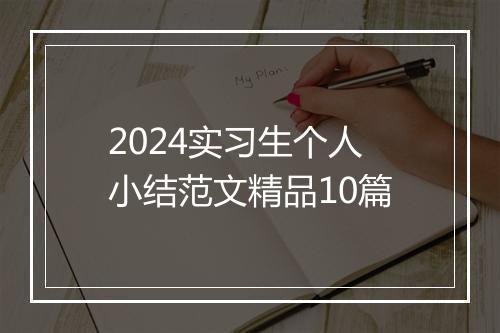 2024实习生个人小结范文精品10篇