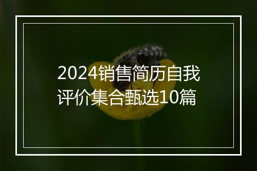 2024销售简历自我评价集合甄选10篇