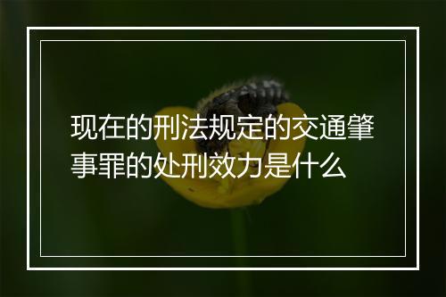 现在的刑法规定的交通肇事罪的处刑效力是什么