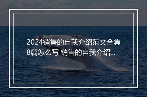 2024销售的自我介绍范文合集8篇怎么写 销售的自我介绍范文合集8篇