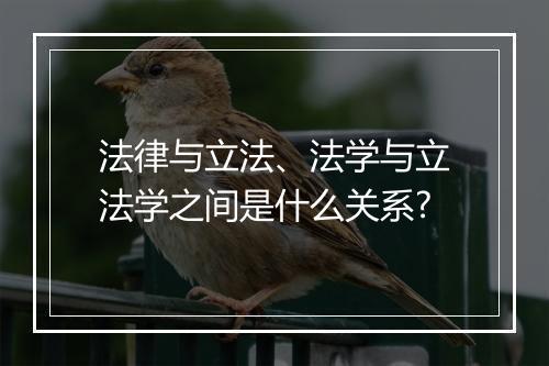 法律与立法、法学与立法学之间是什么关系?