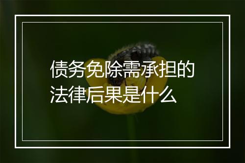 债务免除需承担的法律后果是什么