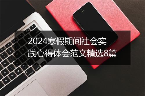 2024寒假期间社会实践心得体会范文精选8篇