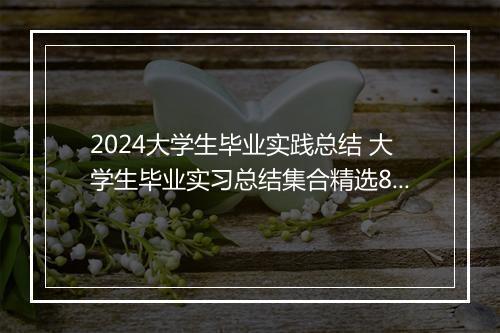 2024大学生毕业实践总结 大学生毕业实习总结集合精选8篇