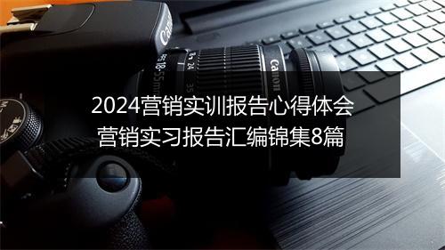 2024营销实训报告心得体会 营销实习报告汇编锦集8篇