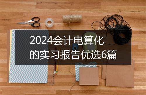 2024会计电算化的实习报告优选6篇