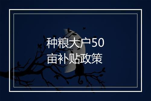 种粮大户50亩补贴政策