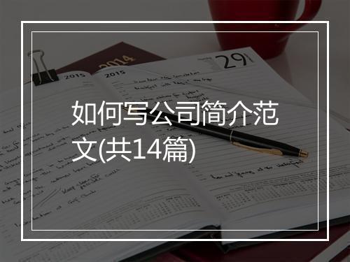 如何写公司简介范文(共14篇)