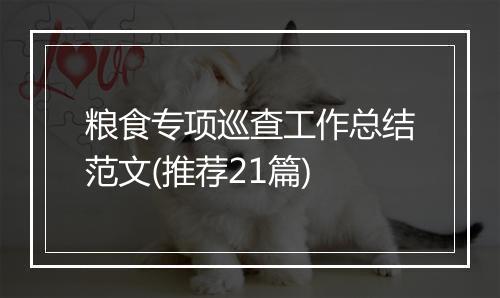 粮食专项巡查工作总结范文(推荐21篇)