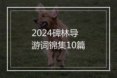 2024碑林导游词锦集10篇