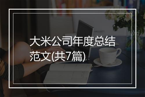 大米公司年度总结范文(共7篇)