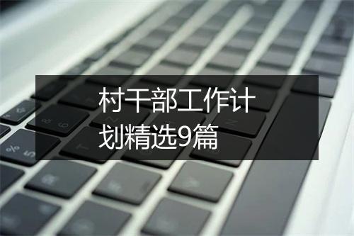 村干部工作计划精选9篇