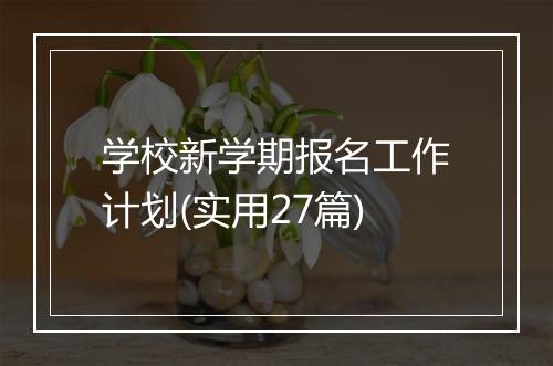 学校新学期报名工作计划(实用27篇)