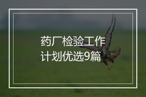 药厂检验工作计划优选9篇