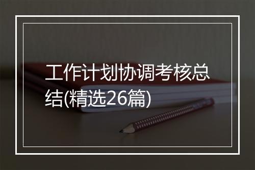 工作计划协调考核总结(精选26篇)