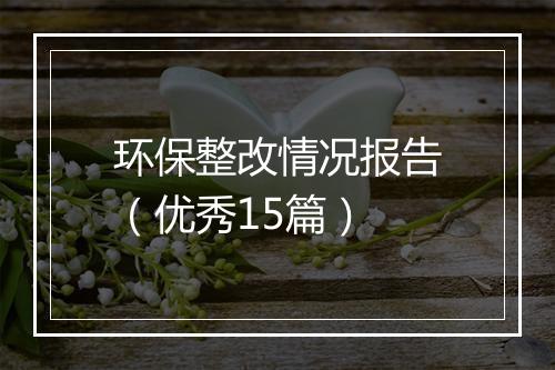 环保整改情况报告（优秀15篇）
