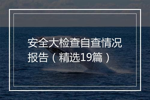 安全大检查自查情况报告（精选19篇）