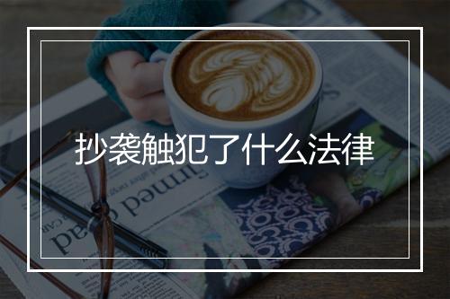 抄袭触犯了什么法律