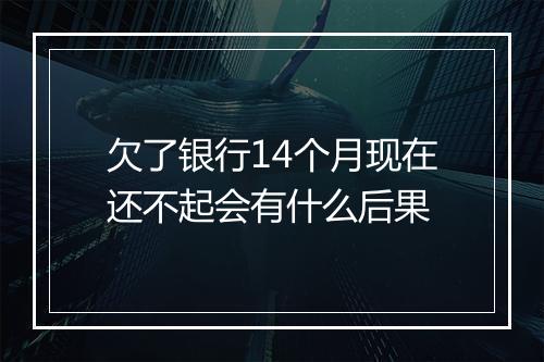欠了银行14个月现在还不起会有什么后果
