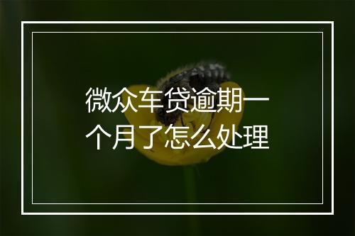 微众车贷逾期一个月了怎么处理