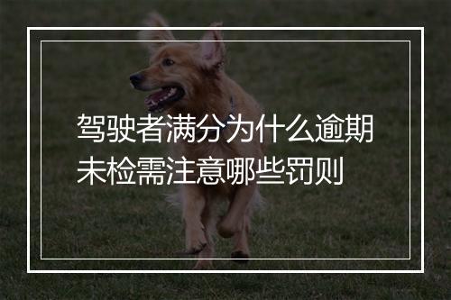 驾驶者满分为什么逾期未检需注意哪些罚则