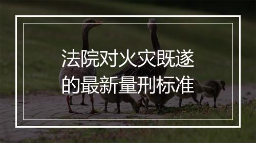法院对火灾既遂的最新量刑标准
