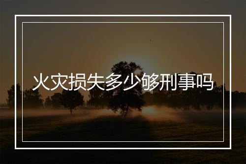 火灾损失多少够刑事吗