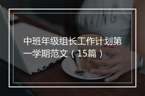 中班年级组长工作计划第一学期范文（15篇）