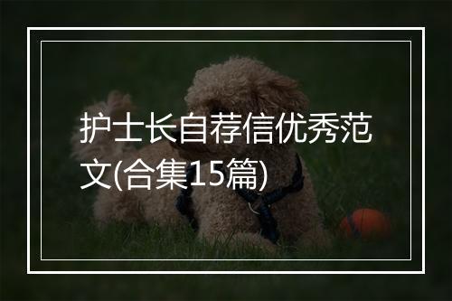 护士长自荐信优秀范文(合集15篇)