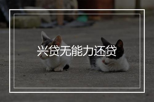 兴贷无能力还贷
