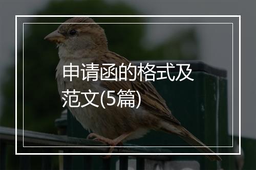 申请函的格式及范文(5篇)