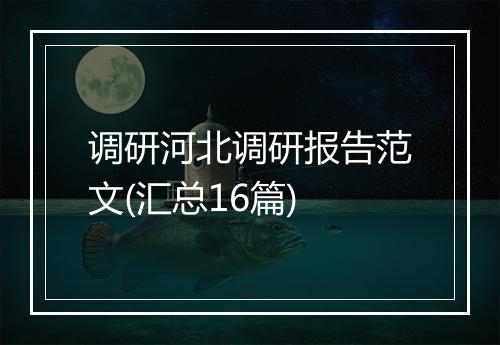 调研河北调研报告范文(汇总16篇)