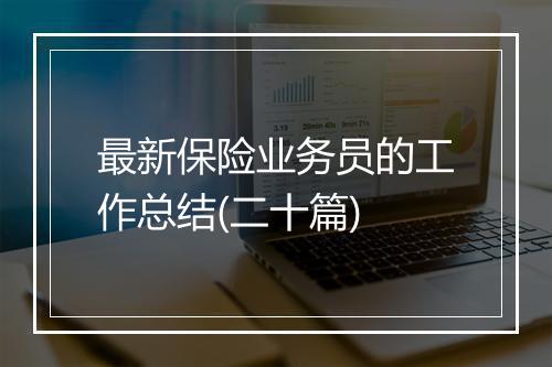 最新保险业务员的工作总结(二十篇)