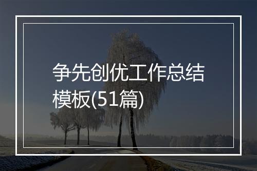 争先创优工作总结模板(51篇)