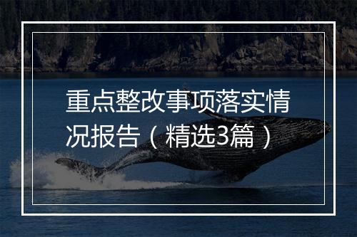 重点整改事项落实情况报告（精选3篇）
