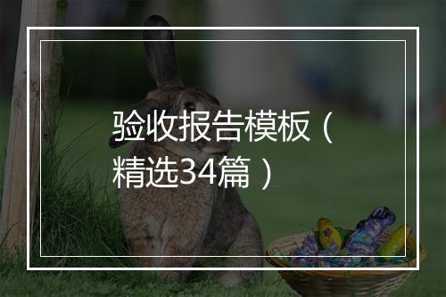 验收报告模板（精选34篇）