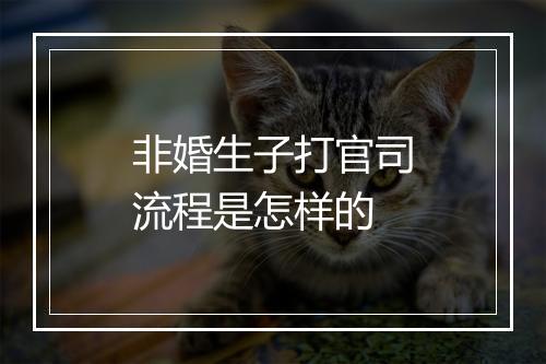 非婚生子打官司流程是怎样的