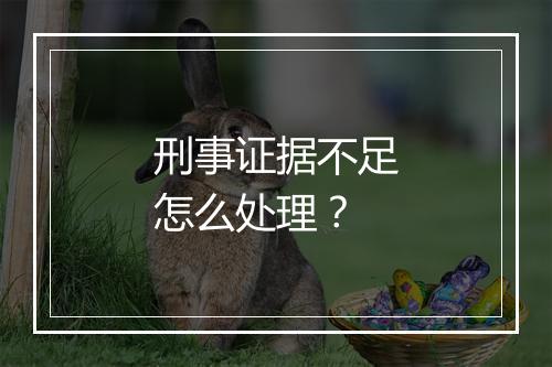 刑事证据不足怎么处理？