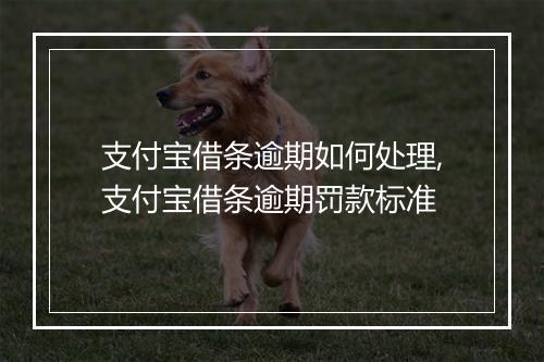 支付宝借条逾期如何处理,支付宝借条逾期罚款标准