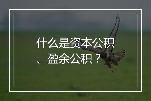 什么是资本公积、盈余公积？