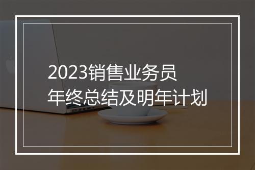2023销售业务员年终总结及明年计划