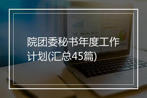 院团委秘书年度工作计划(汇总45篇)