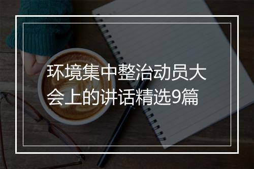 环境集中整治动员大会上的讲话精选9篇