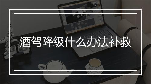 酒驾降级什么办法补救