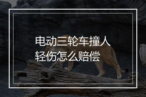 电动三轮车撞人轻伤怎么赔偿
