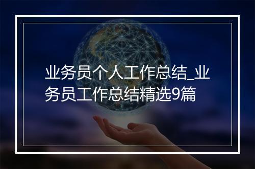 业务员个人工作总结_业务员工作总结精选9篇